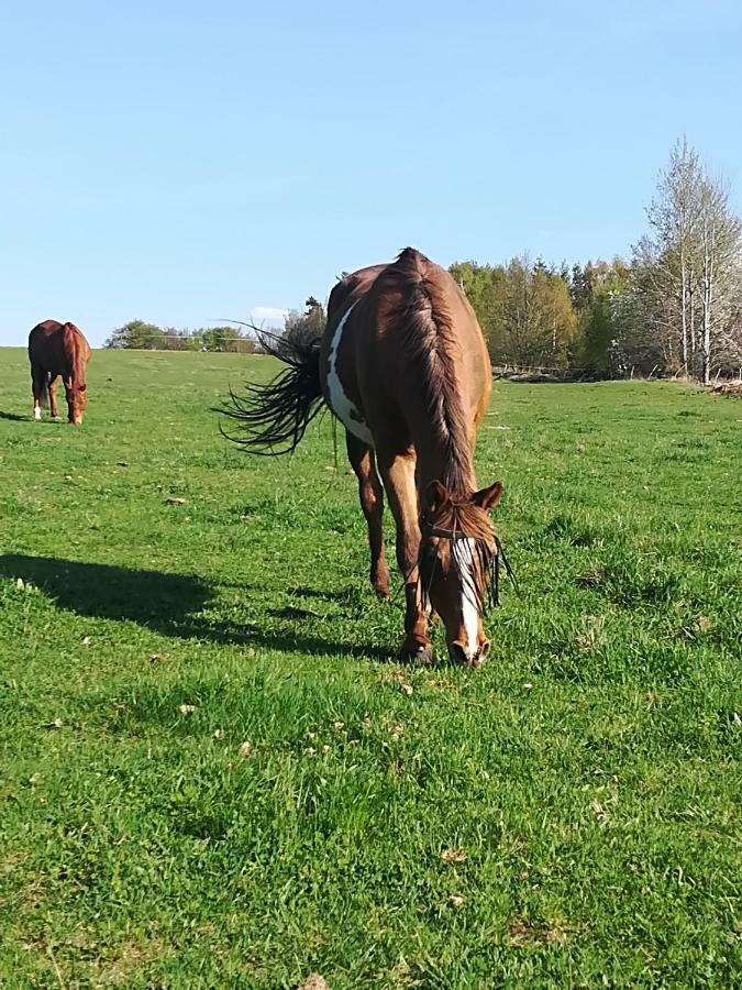 Appartamento Farma Ranch Jelemek Nebahovy Esterno foto